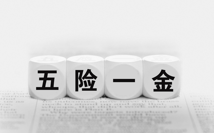 为什么工资发了五险一金看不到