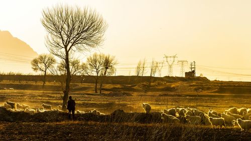 集体土地与宅基地有什么区别