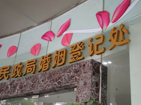 办理领养手续需要多久