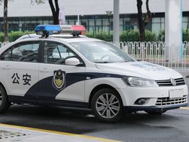 保安打了人报派出所会怎么样处理