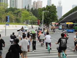 自行车逆行被撞了算谁的责任