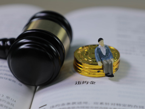 违约金过高的标准