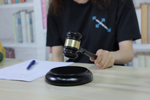 诉讼抚养费