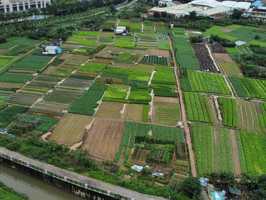 广东省国家征收土地补偿标准是怎样的