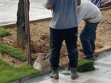 公共排水管道漏水谁负责维修
