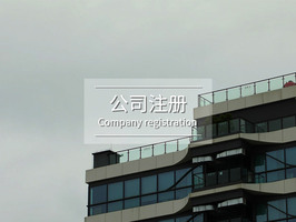 及时了解子公司注册的流程