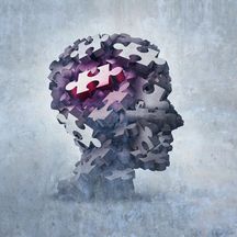精神损害赔偿请求权的继承