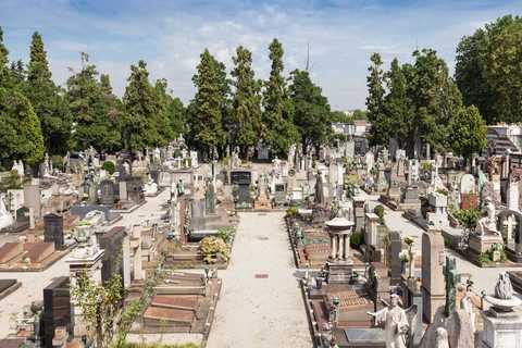 国家修路占坟补偿多少钱
