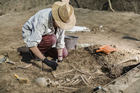 盗掘古人类化石古脊椎动物化石罪处罚