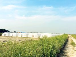农民占用基本农田建房怎么处理