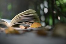 合同诈骗罪控告书范本