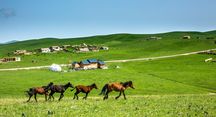牧民草场征收补偿赔偿标准是什么意思
