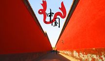 关于中国驰名商标禁用
