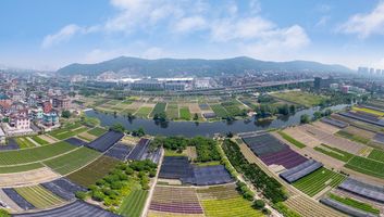 集体用地上建设的厂房是否属于违建范围