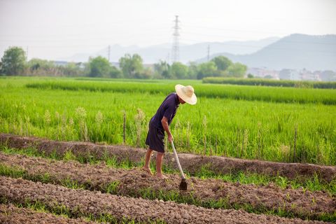 农民死后耕地会有儿女继承吗