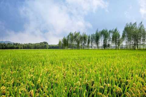 农村土地承包仲裁机构是什么部门负责