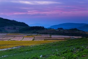 土地承包经营权和土地经营权纠纷区别