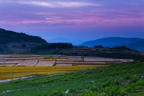 2022农村土地承包合同书范本