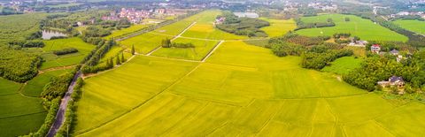 农村集体建设用地