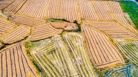 农村集体土地怎么转让