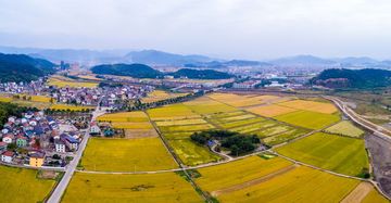 农村集体土地可以承包给外村人吗