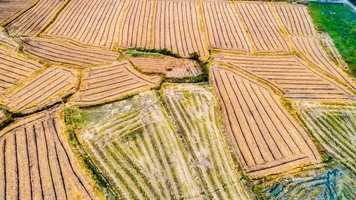 承包土地被国家征用地钱归谁