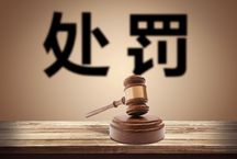 我国刑法对侵占罪的处罚规定是什么