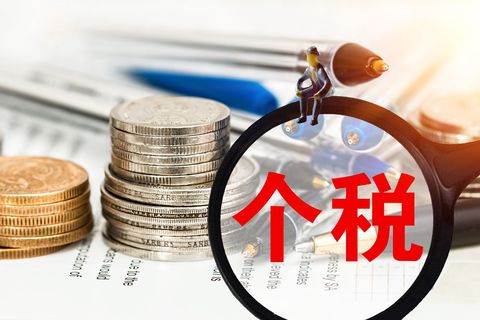 个人所得税对象