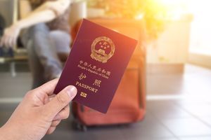 出入境记录在哪里查询