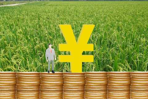 第二轮土地承包到期后再延长多少年的政策