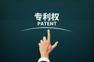 专利许可合同的种类