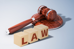 贷款违约被起诉后的法律后果是什么