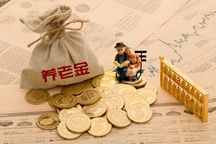 养老金缴纳流程