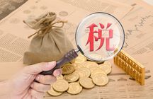一般纳税人税负率多少正常
