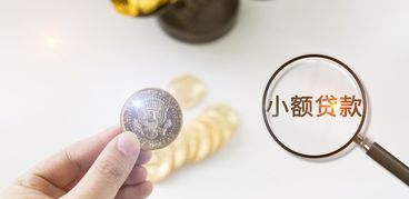 小额贷款不还的会判刑吗？
