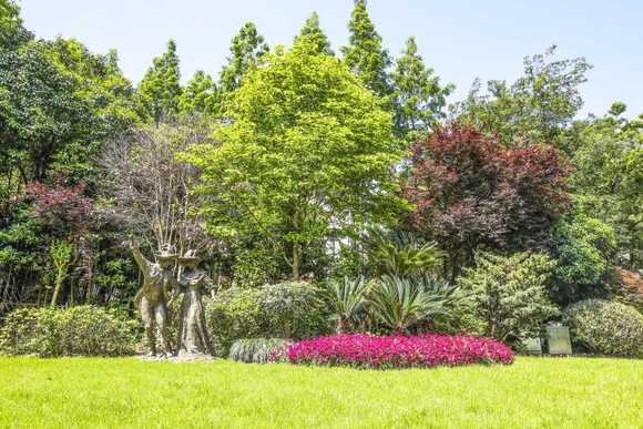 绿化工程竣工验收报告模板是怎样