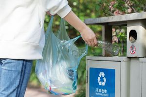 过期食品怎么处理才不会被罚款