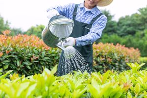 经营农药需要什么证件