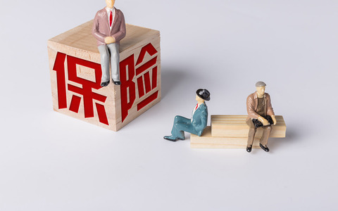 个人养老保险费