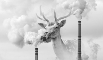 大气污染带来的主要危害是什么