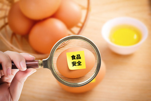食品营业执照分几类