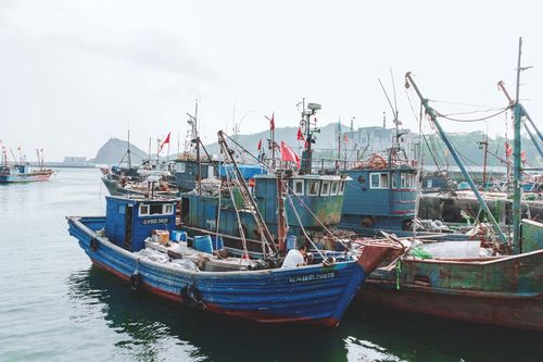 海上货物运输合同的种类
